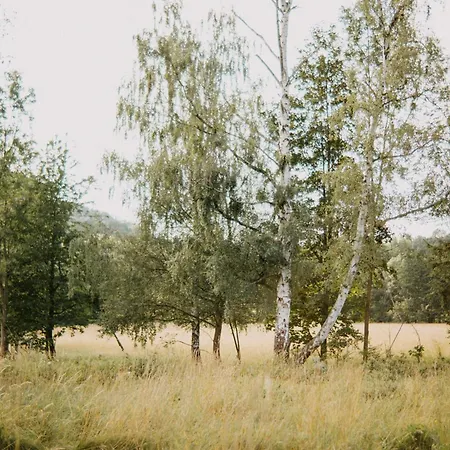 Episody Glamping Česká Kamenice